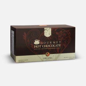 Gourmet Hot Chocolate